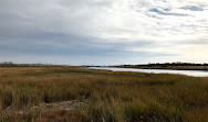 Sendero natural del parque marino Salt Marsh