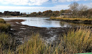 Sendero natural del parque marino Salt Marsh