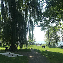 Port Nelson Park