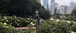 Clarence F. Buckingham Memorial Fountain