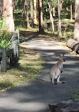 Daisy Hill Conservation Park