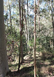 Daisy Hill Conservation Park