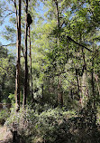 Daisy Hill Conservation Park