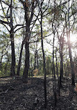 Daisy Hill Conservation Park