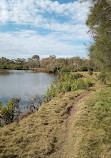 Tingalpa Creek Reserve