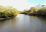 Tingalpa Creek Reserve