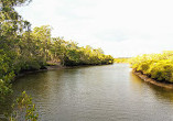 Tingalpa Creek Reserve