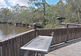 Tingalpa Creek Reserve