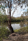 Tingalpa Creek Reserve