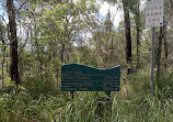 Tingalpa Creek Reserve