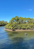 Tingalpa Creek Reserve