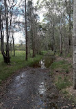 Tingalpa Creek Reserve