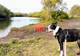 Tingalpa Creek Reserve