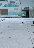 Nathan Phillips Square