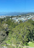 de Young Museum