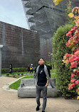 de Young Museum