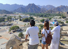 Safari mondial dans le désert de Dubaï