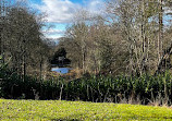 Hagley Park and Visitor Centre