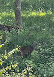 Hagley Park and Visitor Centre