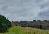 Hagley Park and Visitor Centre