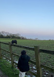 Woodgate Valley Country Park