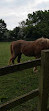 Woodgate Valley Country Park