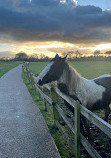 Woodgate Valley Country Park