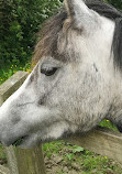 Woodgate Valley Country Park