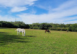 Woodgate Valley Country Park