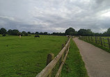 Woodgate Valley Country Park