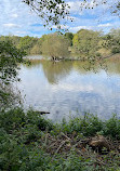 Clowes Wood Nature Reserve