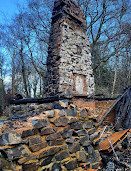 Clowes Wood Nature Reserve