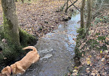 Clowes Wood Nature Reserve