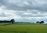 Hagley loop walk