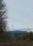 Burnaby Mountain Biking and Hiking Trails