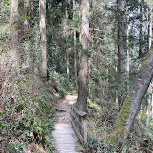 Burnaby Mountain Biking and Hiking Trails