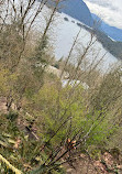 Burnaby Mountain Biking and Hiking Trails