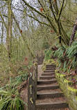 Velodrome Trail