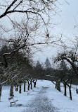 Velodrome Trail