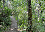 Fraser Heights Vistas Nature Trail