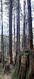 Coquitlam Lake View Trailhead