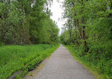 Southshore Trail