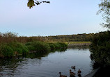 Southshore Trail