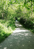 West Forest Trails