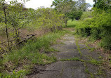 The Homewood Cemetery