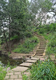 Muscle Creek Nature Walk