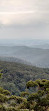 Wunburra Lookout