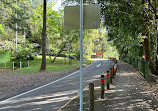 Wunburra Lookout