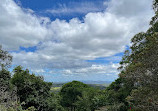 Hardys Lookout