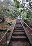 Rainbow Bay Lookout